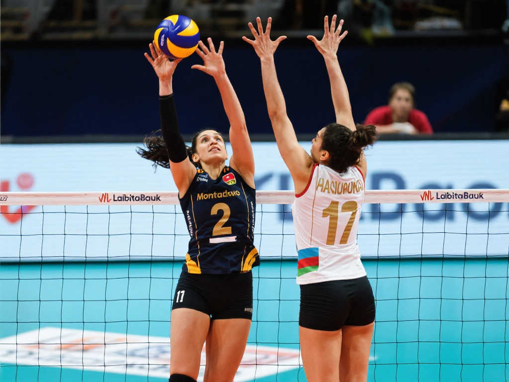 战术安排使 战术安排使