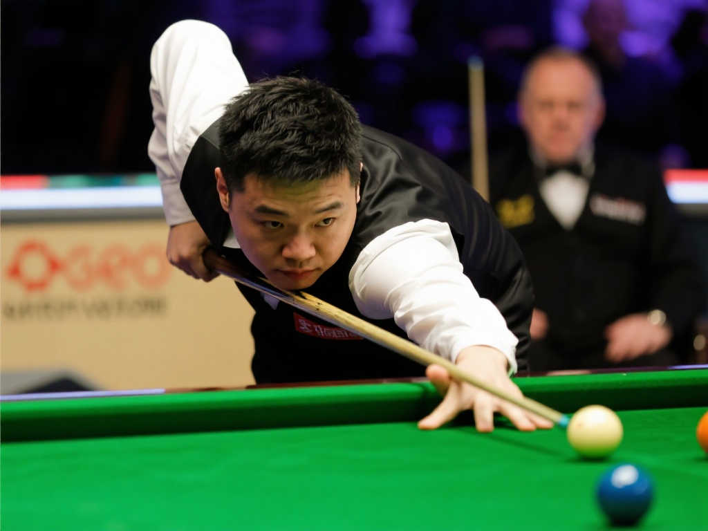 它不仅展示 它不仅展示