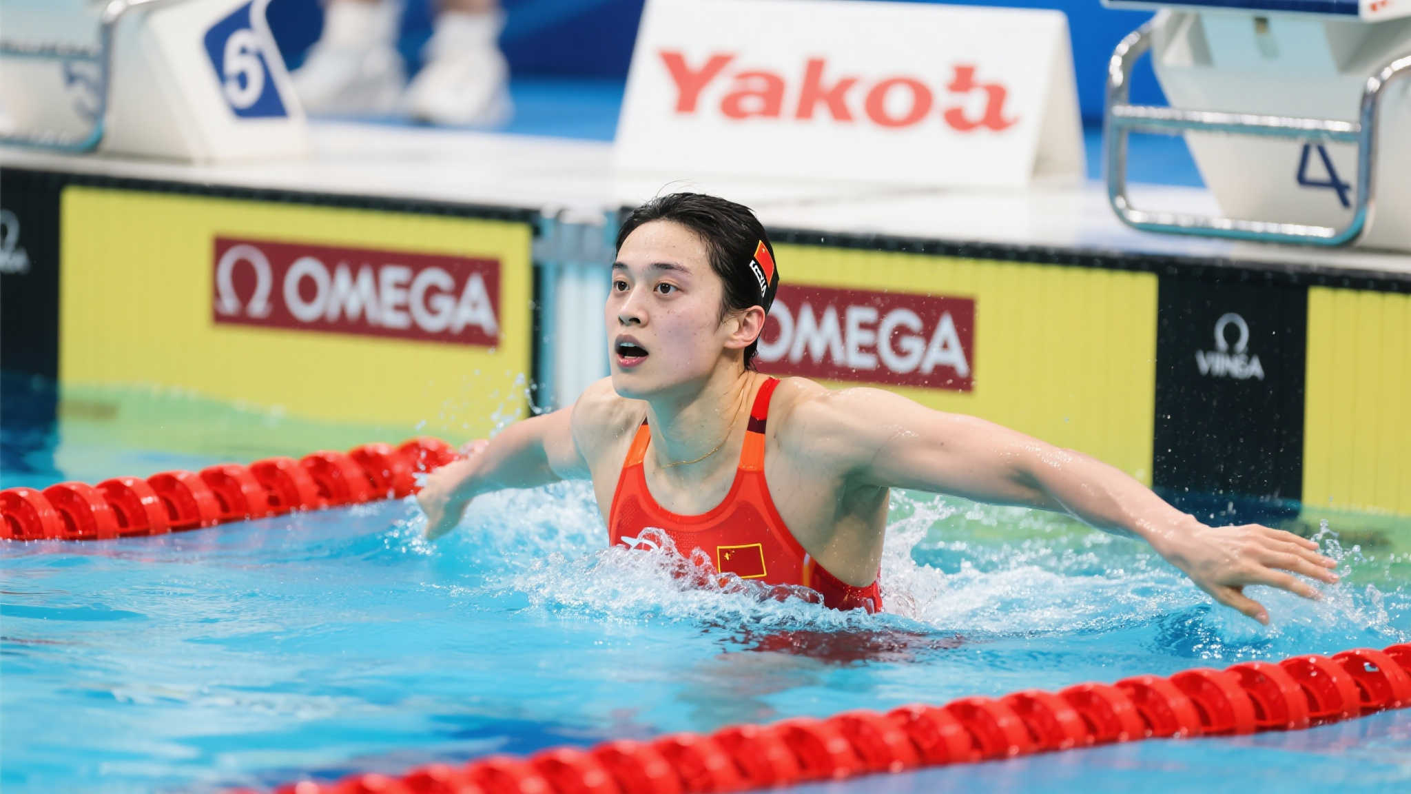 能够为雄鹿 能够为雄鹿